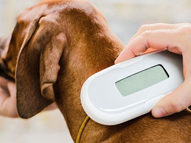 AAR Recovery Enquiry